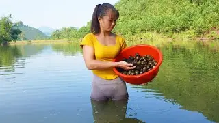 Harvesting A Lot Of Snails Goes to the market sell - Take care ducks & pigs | New Free Bushcraft