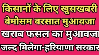 फसल मुआवजा कब मिलेगा हरियाणा सरकार द्वारा घोषणा कर जानकारी दी गई हैं #fasalmuavja #crop_compensation