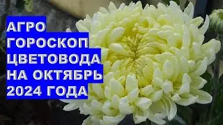 Агрогороскоп цветовода на октябрь 2024 года Agrohoroscope for the Florist for October 2024