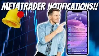 How to Set Up MT4/MT5 Alerts on Your PHONE!!