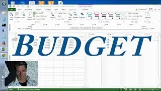 MS Project 2013 ● #10  How to do a Project Budget  ●  Easy