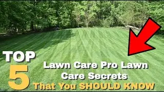 Top 5 Pro Lawn Care SECRETS You Should Know!