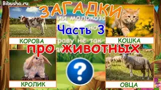 ЗАГАДКИ ПРО ЖИВОТНЫХ - Часть 3 | Загадки для детей