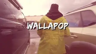 Mc Plata - WALLAPOP (Videoclip Oficial)