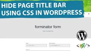 How to Hide Page Title Bar using CSS in WordPress