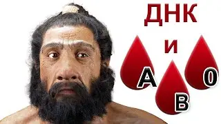Contribution of Neanderthals to the DNA of modern humans. Blood groups of Neanderthals & Denisovans