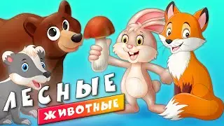 Животные - Лесные Животные для детей - Развивающие видео для малышей