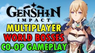 Genshin Impact Multiplayer Gameplay Co-op Hunting Field Bosses