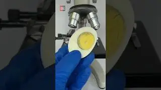 3 सबसे कमाल के microscopic view |😲😯| #shorts