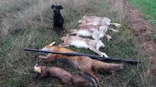 ШОК!!! Вот это ОТКРЫТИЕ ОХОТЫ НА ЗАЙЦА!!! crazy hunting 2018 - 2019