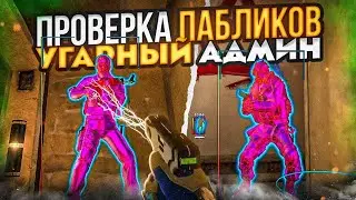 🤡 АДМИНЫ УГАРАЮТ // ПРОВЕРКА ПАБЛИКОВ В CS2 [MIDNIGНT]