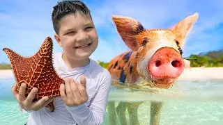 CALEB SWIMS with PIGS in the BAHAMAS! 🐷