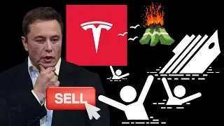 Wall Street Dumps Tesla Stock in Musk Meltdown