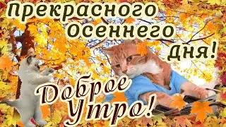 С Добрым Утром! Прекрасного Осеннего Денечка!🍂 Осенний ПРИВЕТИК!🍁