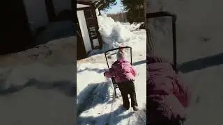 В родовых поместьях многодетность - норма.