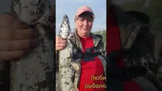 Рыбалка в Алтайском крае и Республике Алтай 