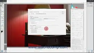 Photoshop Elements 2021 Tutorial Saving a Camera Raw File as a DNG File Adobe Training