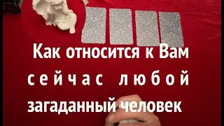 Как относится к ВАМ сейчас любой загаданный человек🖤❤️Друг, знакомый, коллега/Таро 🔮Послание СУДЬБЫ