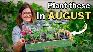 AUGUST PLANTING GUIDE: What to Plant in Zones 9 and 10