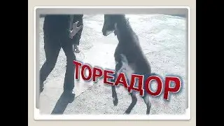 БИТВА С 