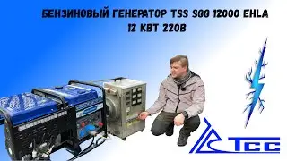 Бензиновый Генератор tss sgg 12000 ehla 220В