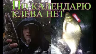 Ночная рыбалка Керженец щука лещ Отчет за 14 06 19