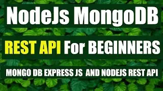 Node Express MongoDB Simple Connection with CRUD - Very helpful for Beinners.