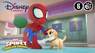 Spidey | Puppy Paniek | Disney Channel NL