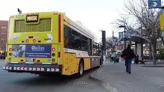 Buses in Dallas, Texas 2022