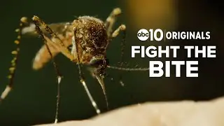 West Nile Virus is here. Fight the bite.