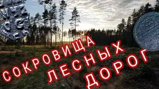 Сокровища лесных дорог.Коп по войне 2018.Minelab Safari.