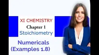 XI CHEMISTRY Chapter No 1 (Stoichiometry) Examples 1.8 in Hindi