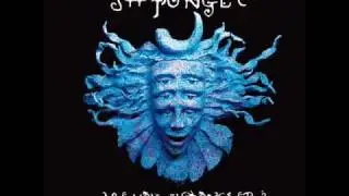 Shpongle - Vapour Rumors