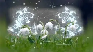 Футаж Цветы и узоры