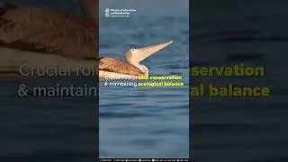 India's Ramsar Sites increase to 85 with three new additions.