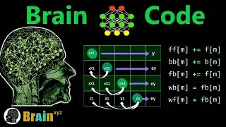 This Algorithm Unlocks The Brain