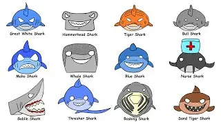 Every Shark Type Explained in 8 Minutes