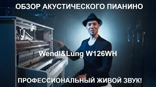 акустическое пианино Wendl&Lung W126WH