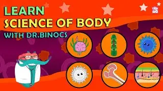 Look Inside The Human Body With Dr. Binocs!