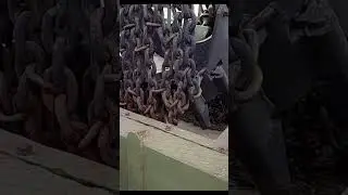С Днём защитника Отечества!