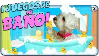 CONSINTIENDO a mi PERRO en el BAÑO!🤭 Juegos de AGUA para PERROS en la BAÑERA 🐶🚿Anima Dogs