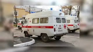 В России за сутки выявлено 6736 заразившихся коронавирусом всего — 681 251