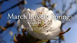 March, lovely spring, the piano sound of magnolia l GRASS COTTON+