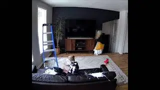 latest prank