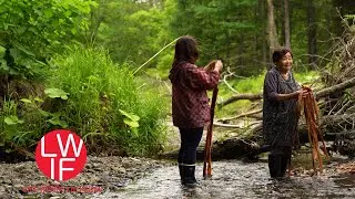 Making Cloth from Tree Bark with Ainu in Japan