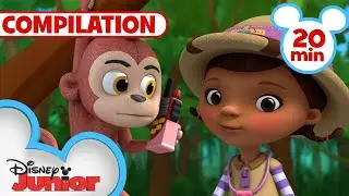 Doc McStuffins Ultimate Safari 🐯 | 20 Minute Compilation | Doc McStuffins | @disneyjr