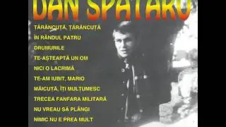 Trecea fanfara militară - Dan Spătaru