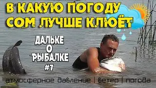 В какую погоду сом лучше клюёт | давление | ветер | #Дальке о рыбалке 7