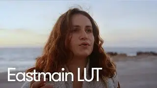 Cinematic Vintage LUT | DOWNLOAD EASTMAN LUT