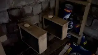 Формирую новые семьи в сентябре